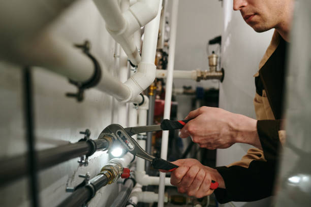 Best Pipe Repair Near Me  in Crane, MO