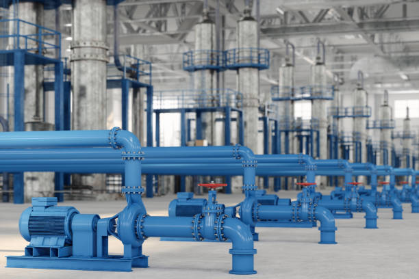 Best Affordable Plumbing Services  in Crane, MO