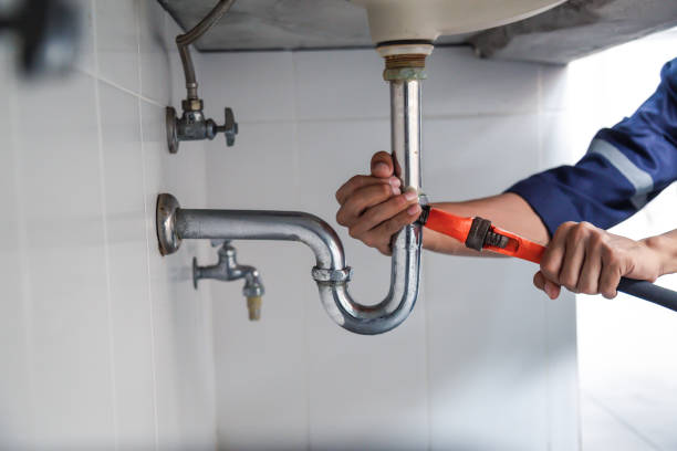 Best Local Plumber Services  in Crane, MO