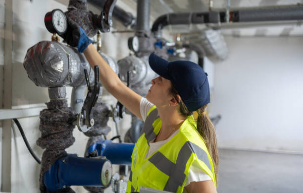 Best Plumbing Inspection Services  in Crane, MO