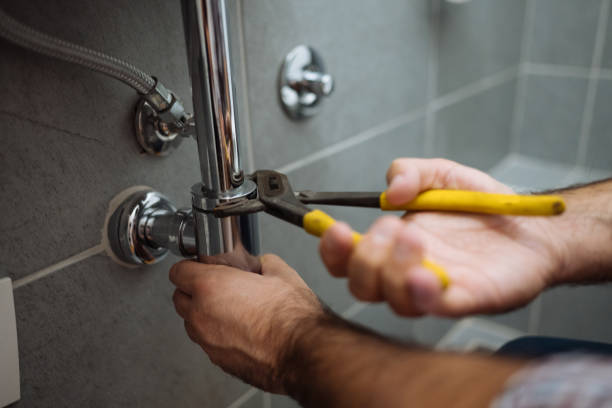 Best Toilet Repair Services  in Crane, MO